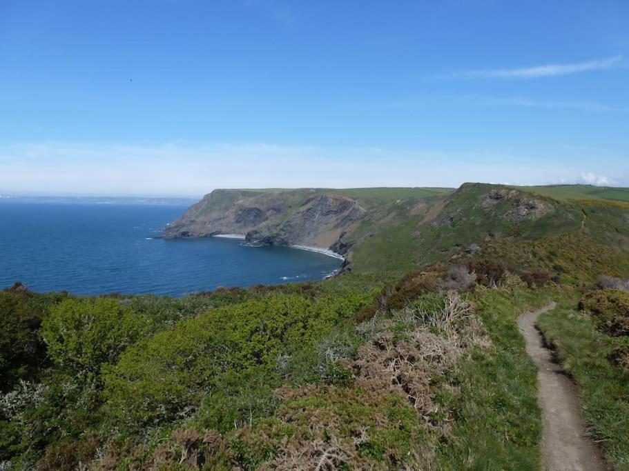 Lower Tresmorn Farmhouse Crackington Haven Bagian luar foto