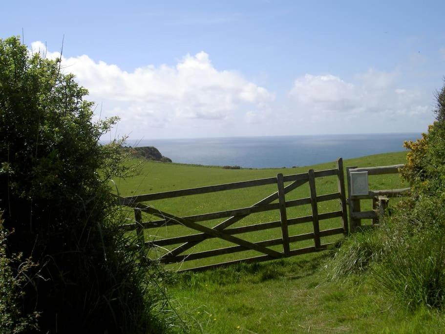 Lower Tresmorn Farmhouse Crackington Haven Bagian luar foto